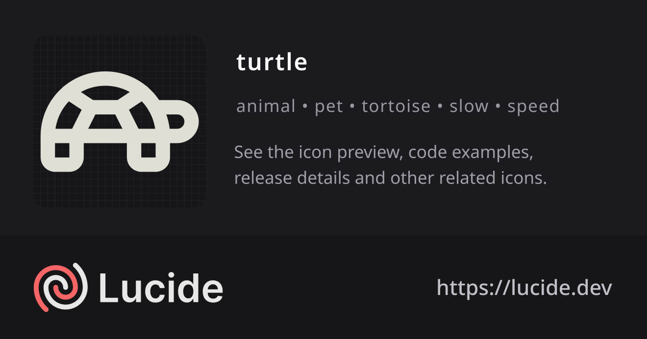 turtle icon details – Lucide